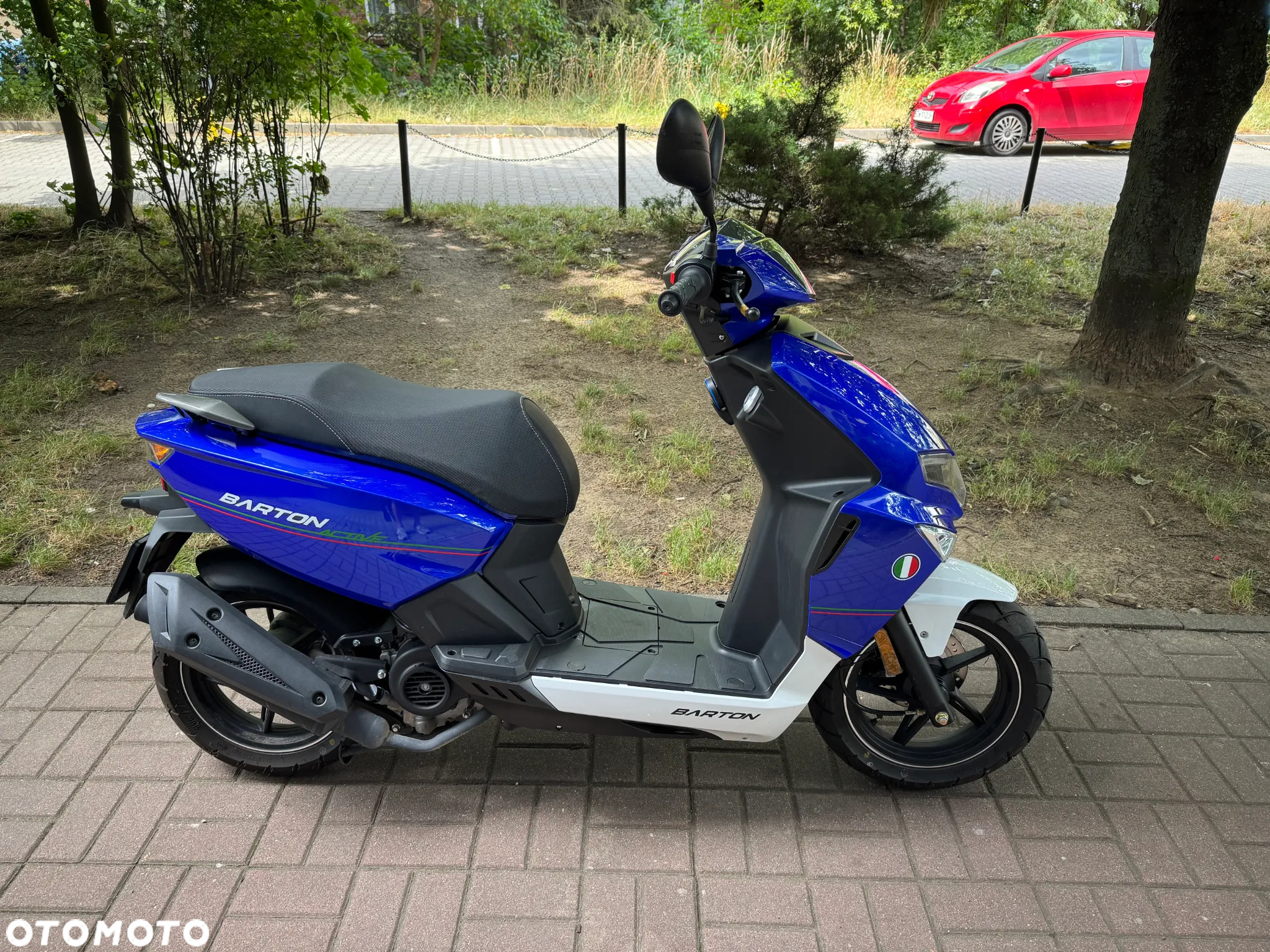 Barton Active - 6