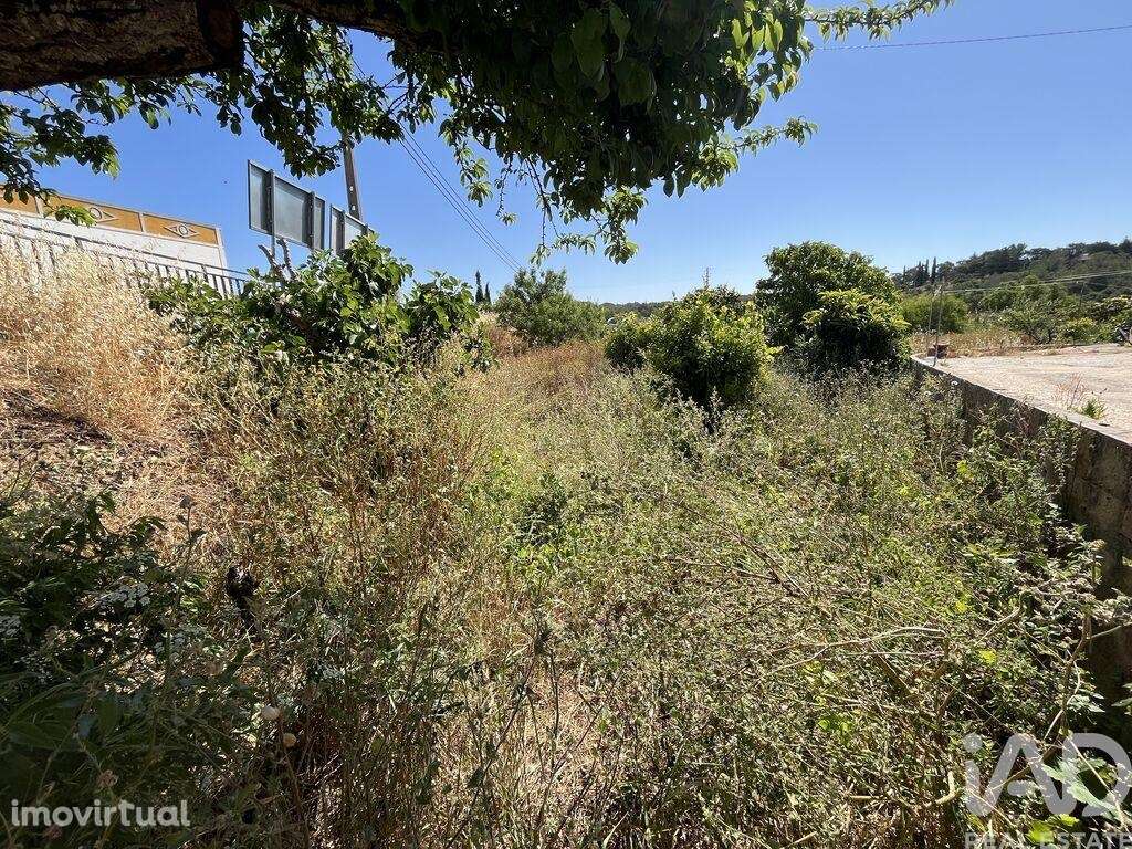 Terreno para construção em Barão de São Miguel de 50,00 m2 - Grande imagem: 5/11