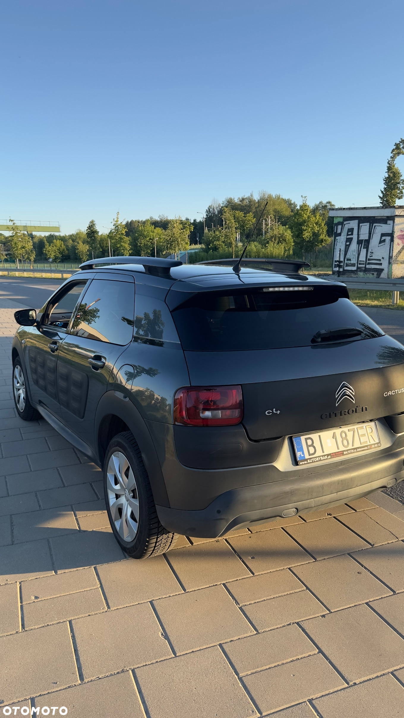 Citroën C4 Cactus 1.2 PureTech Feel EU6 - 2