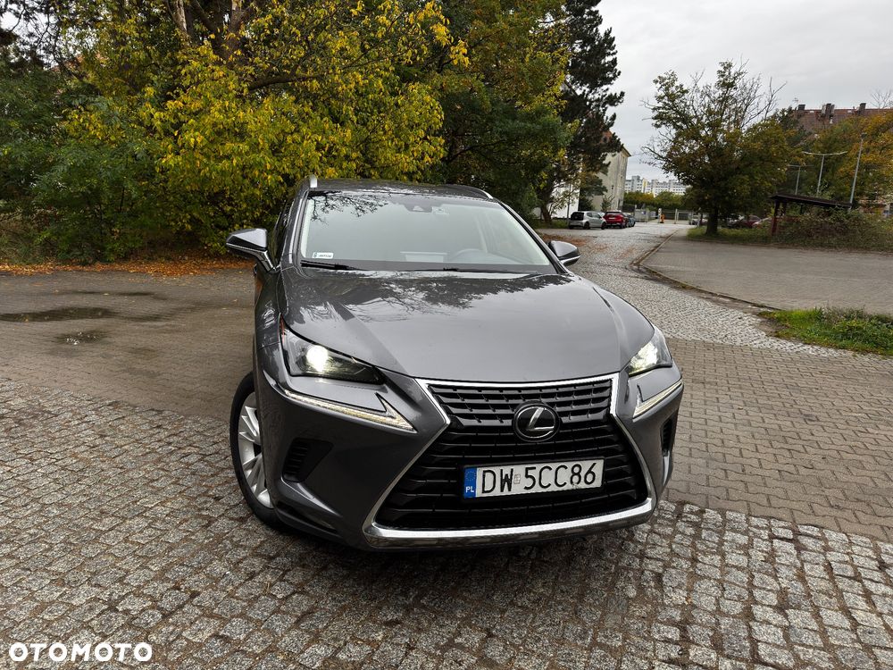 Lexus Nx 2018 photo 2