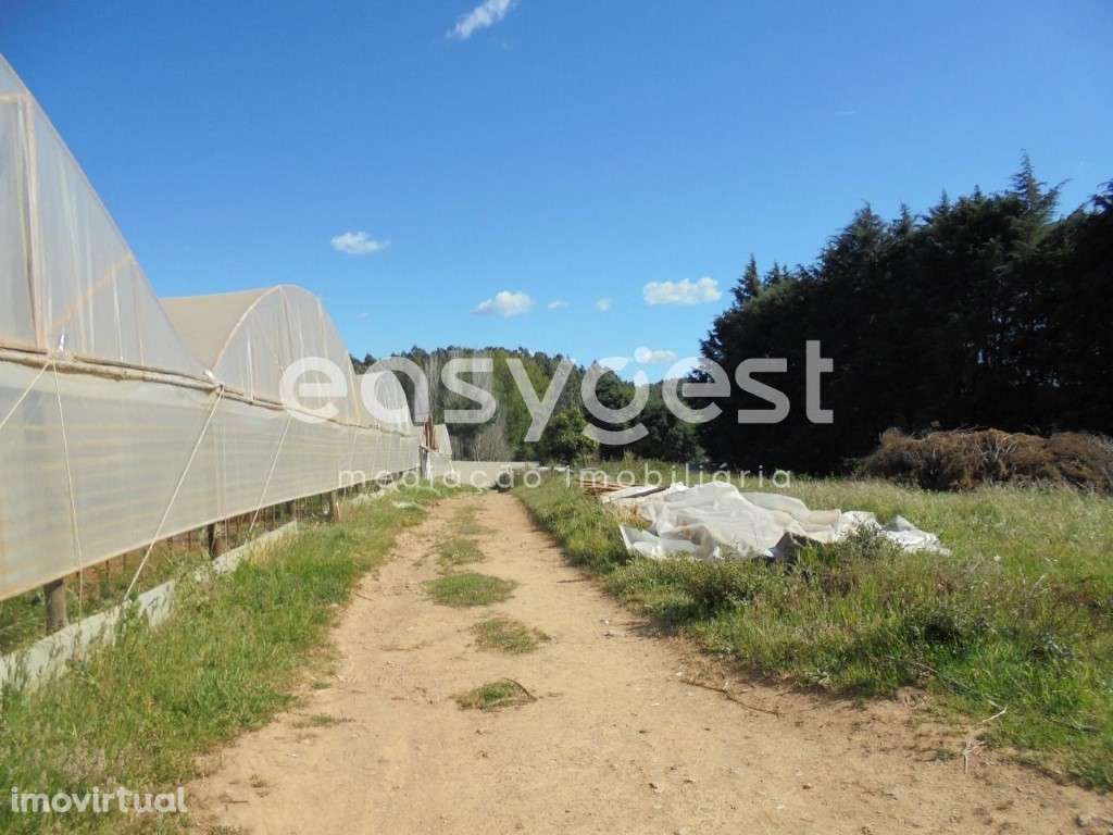 Terreno Rústico localizado 3 km da Vila de Ferreira do Zêzere - Grande imagem: 5/17
