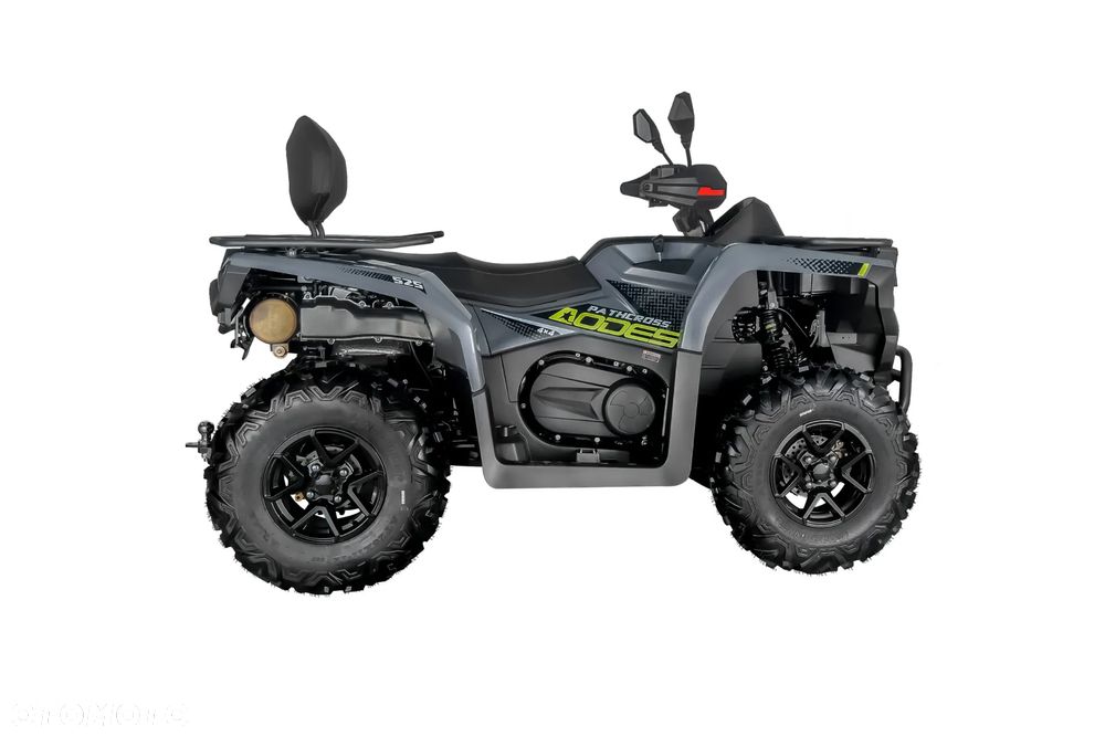 Suzuki Kingquad - 4