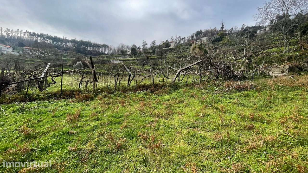 Terreno Rústico  Venda em Ancede e Ribadouro,Baião - Grande imagem: 4/9