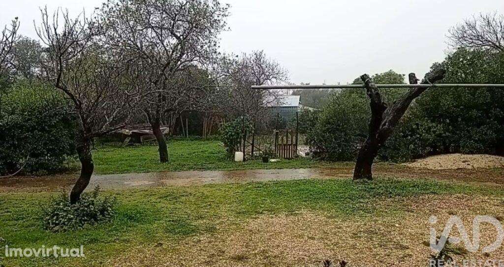 Casa / Villa T5 em Guia de 368,00 m2 - Grande imagem: 4/14