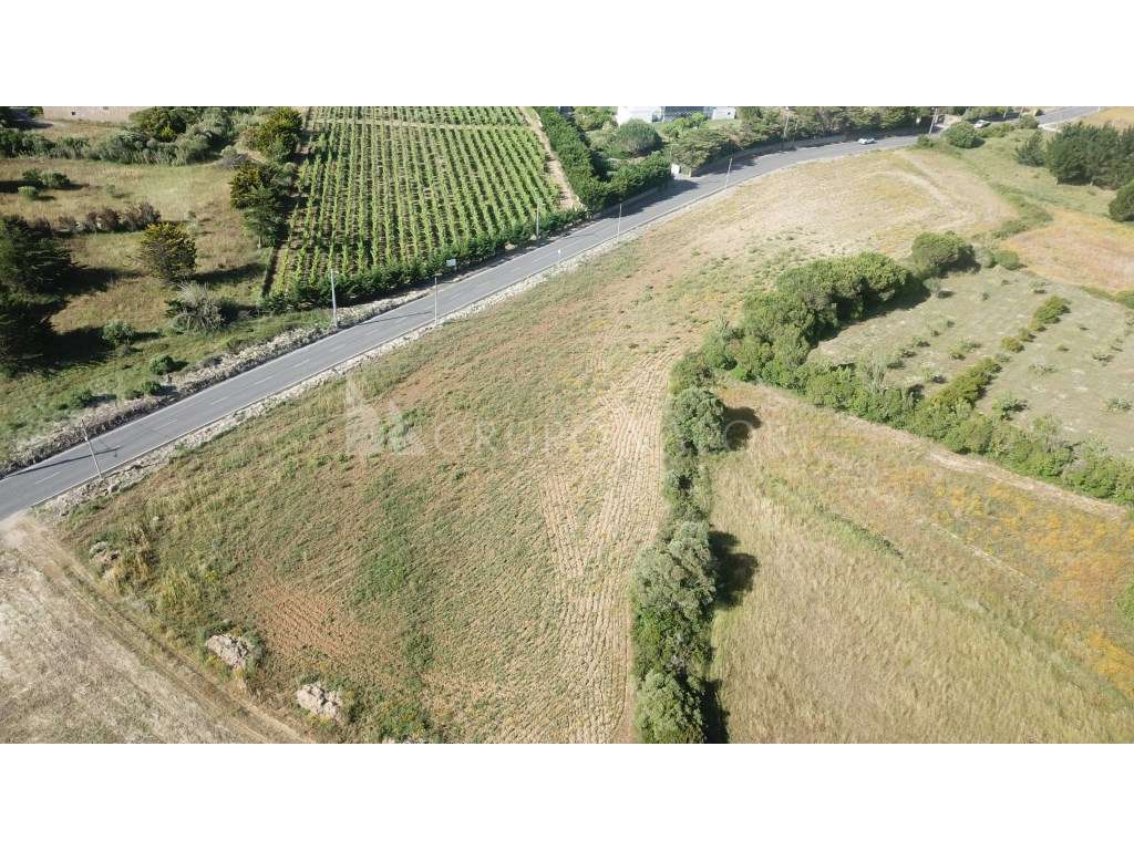 Terreno Rústico com 23.680m2, Janas - Sintra - Grande imagem: 3/9