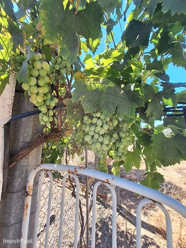 Terreno  para venda - Grande imagem: 5/14