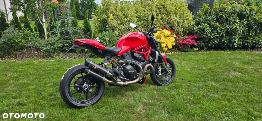 Ducati Monster - 3
