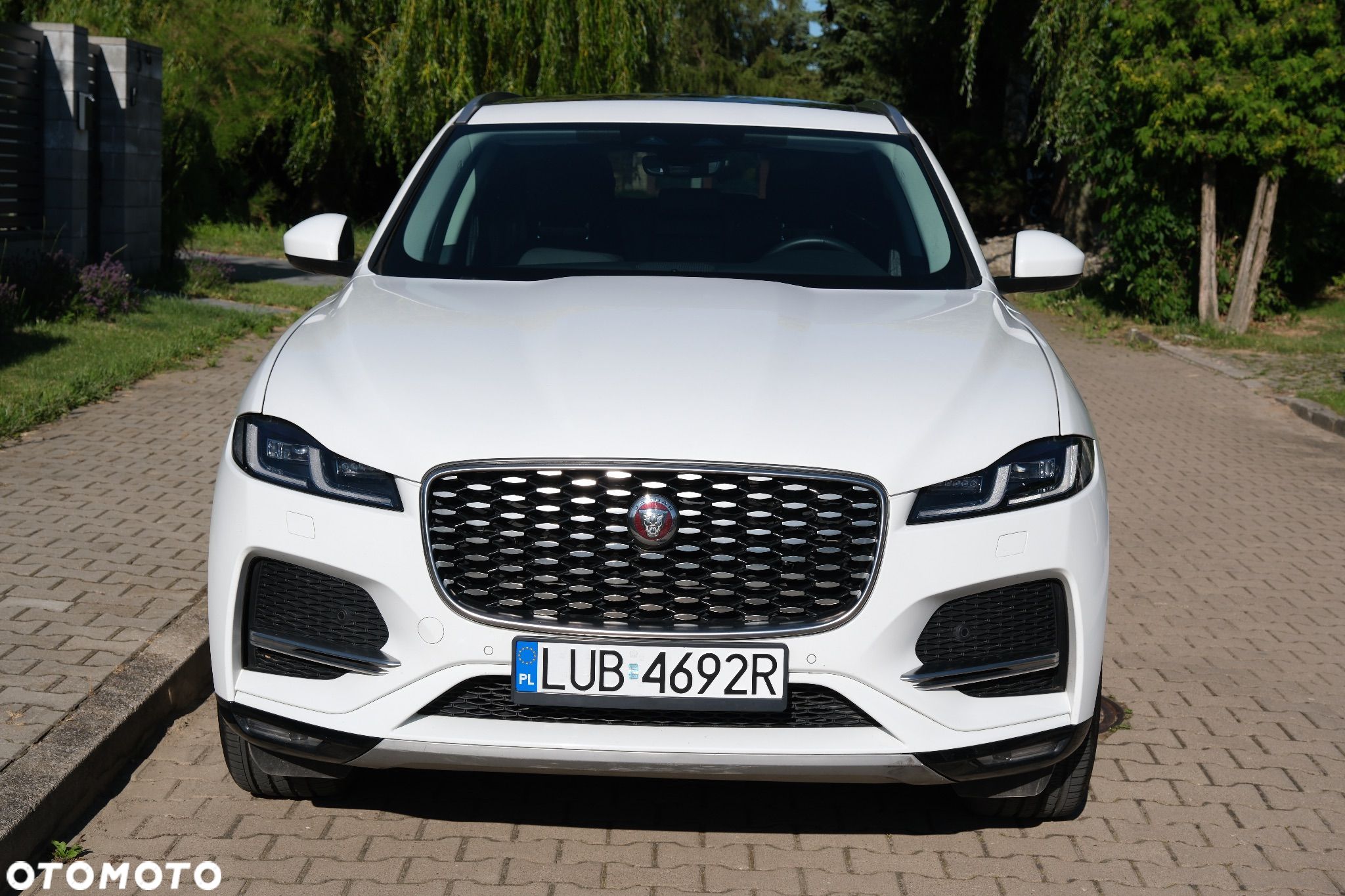 Jaguar F-Pace P250 AWD R-Dynamic SE - 1