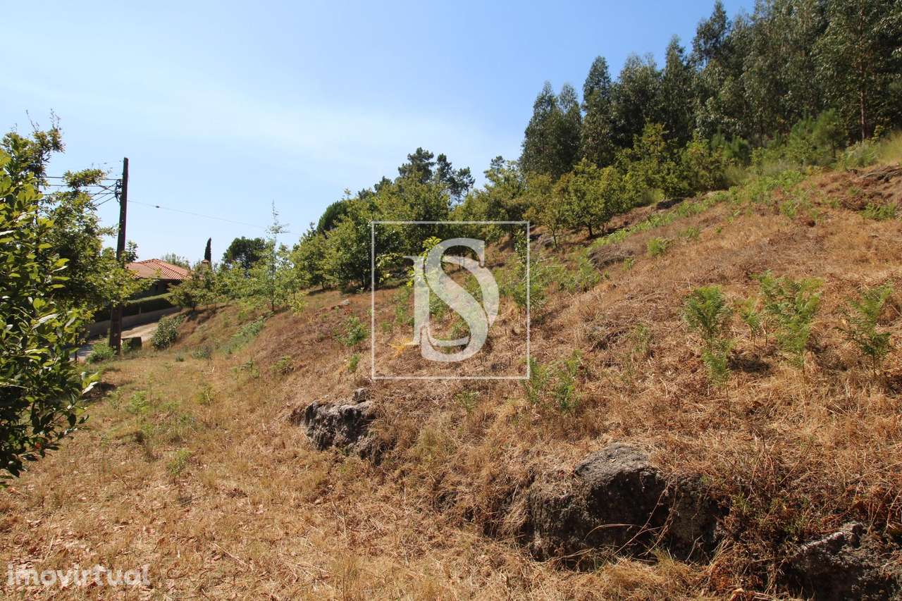 Terreno  Venda em Salvador do Monte,Amarante - Grande imagem: 2/8