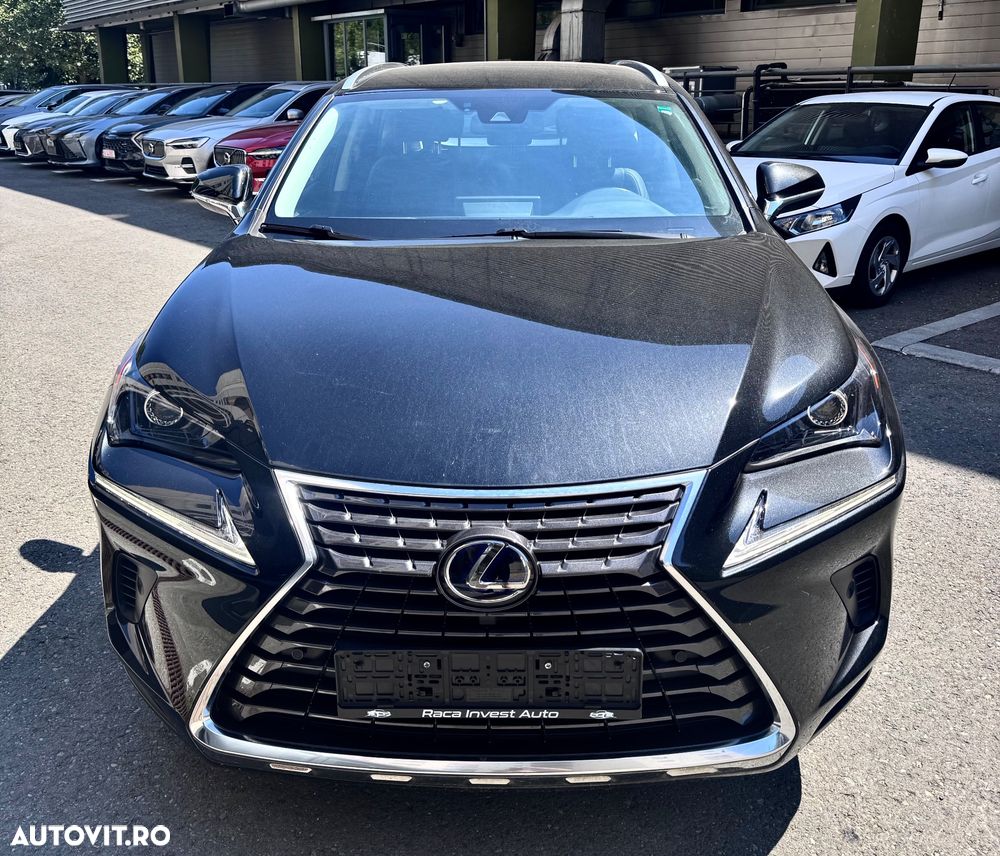 Lexus Seria NX 300h E-FOUR Business Edition - 2