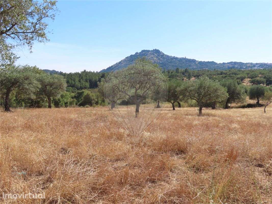 Quinta  para venda - Grande imagem: 2/30