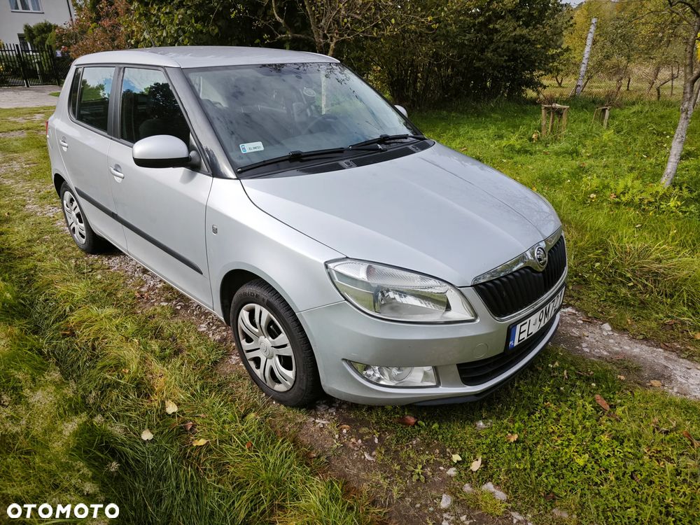Skoda Fabia 2014 photo 2