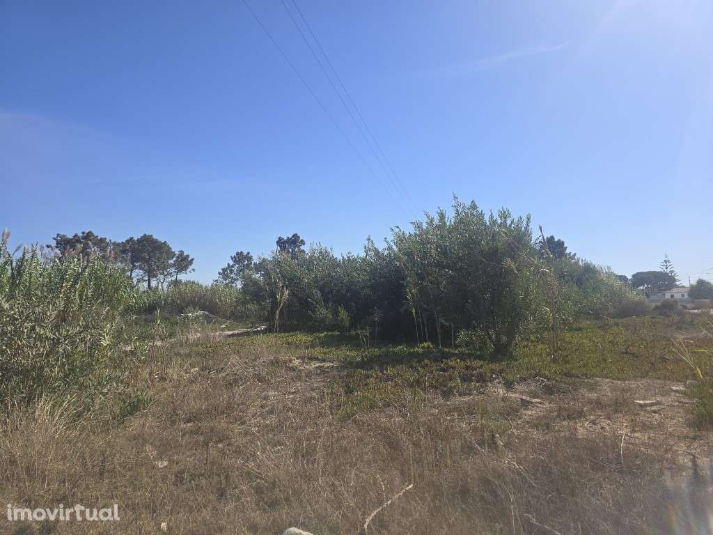 Terreno Rústico - Grande imagem: 3/5