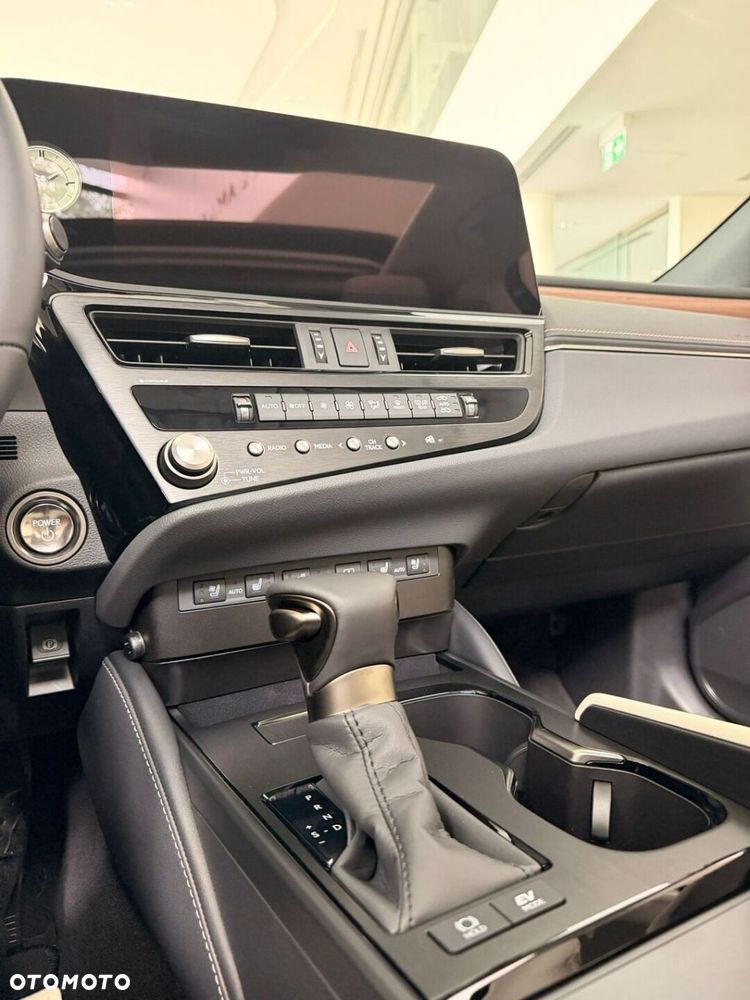 Lexus ES 300h Omotenashi - 11