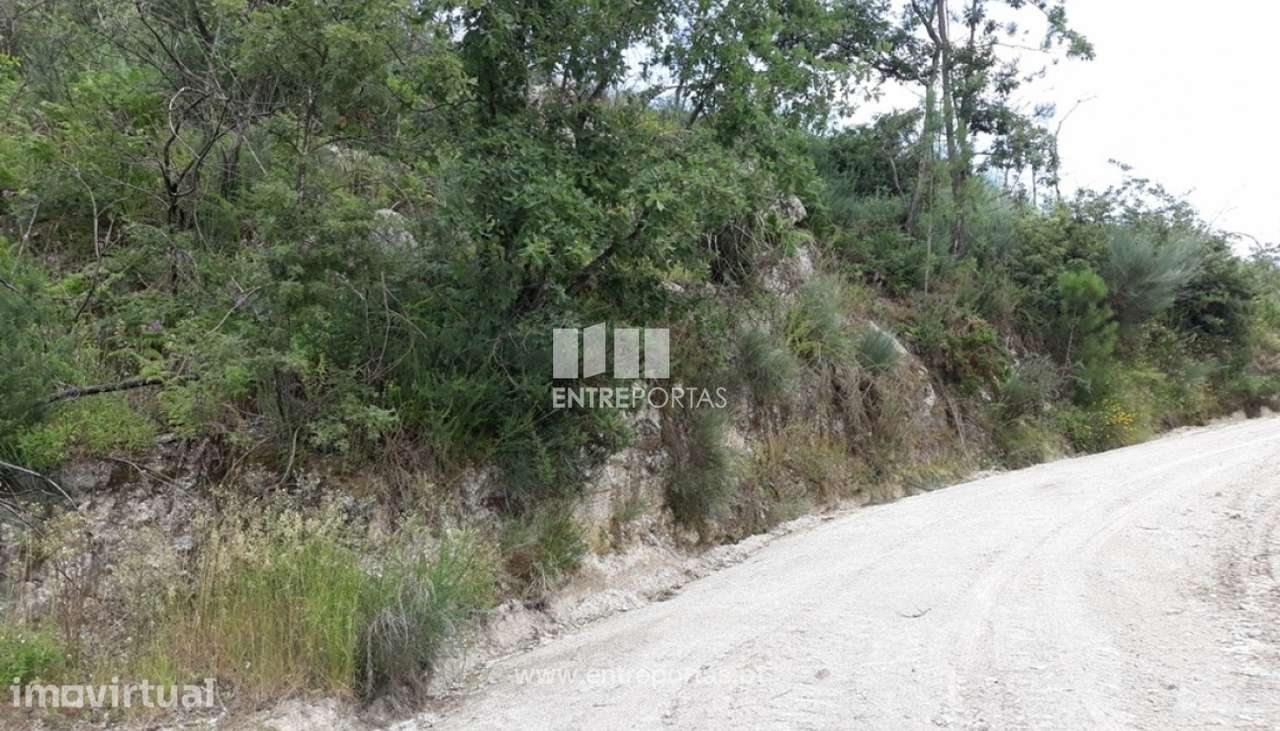 Venda Terreno, Soalhães, Marco de Canaveses - Grande imagem: 4/9