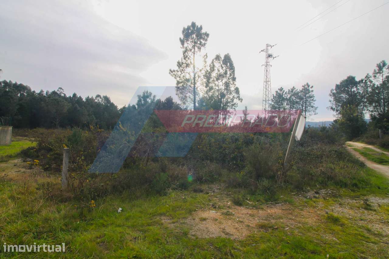 Terreno Industrial na Ucha - Grande imagem: 3/8
