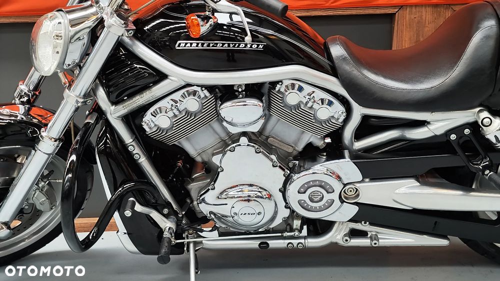 Harley-Davidson Softail V-Rod - 20