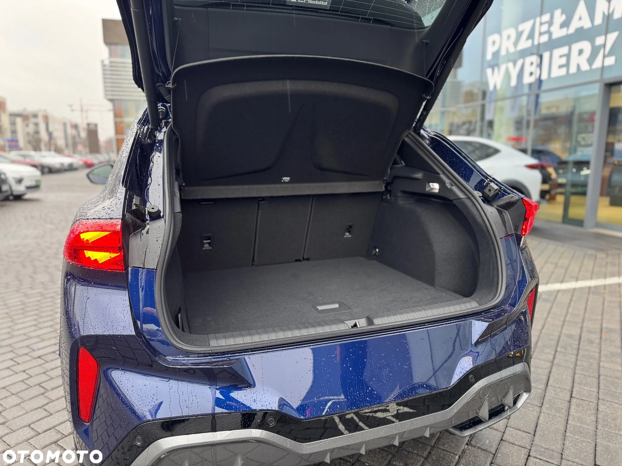 Cupra Terramar 2.0 TSI 4Drive DSG - 16