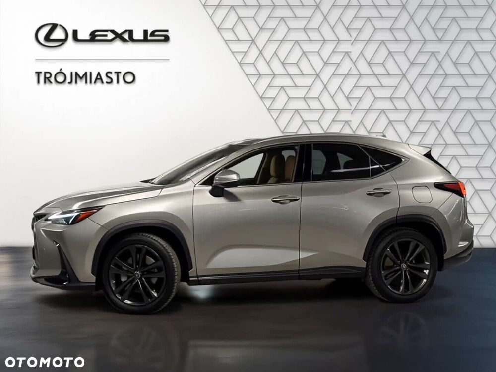 Lexus NX - 22