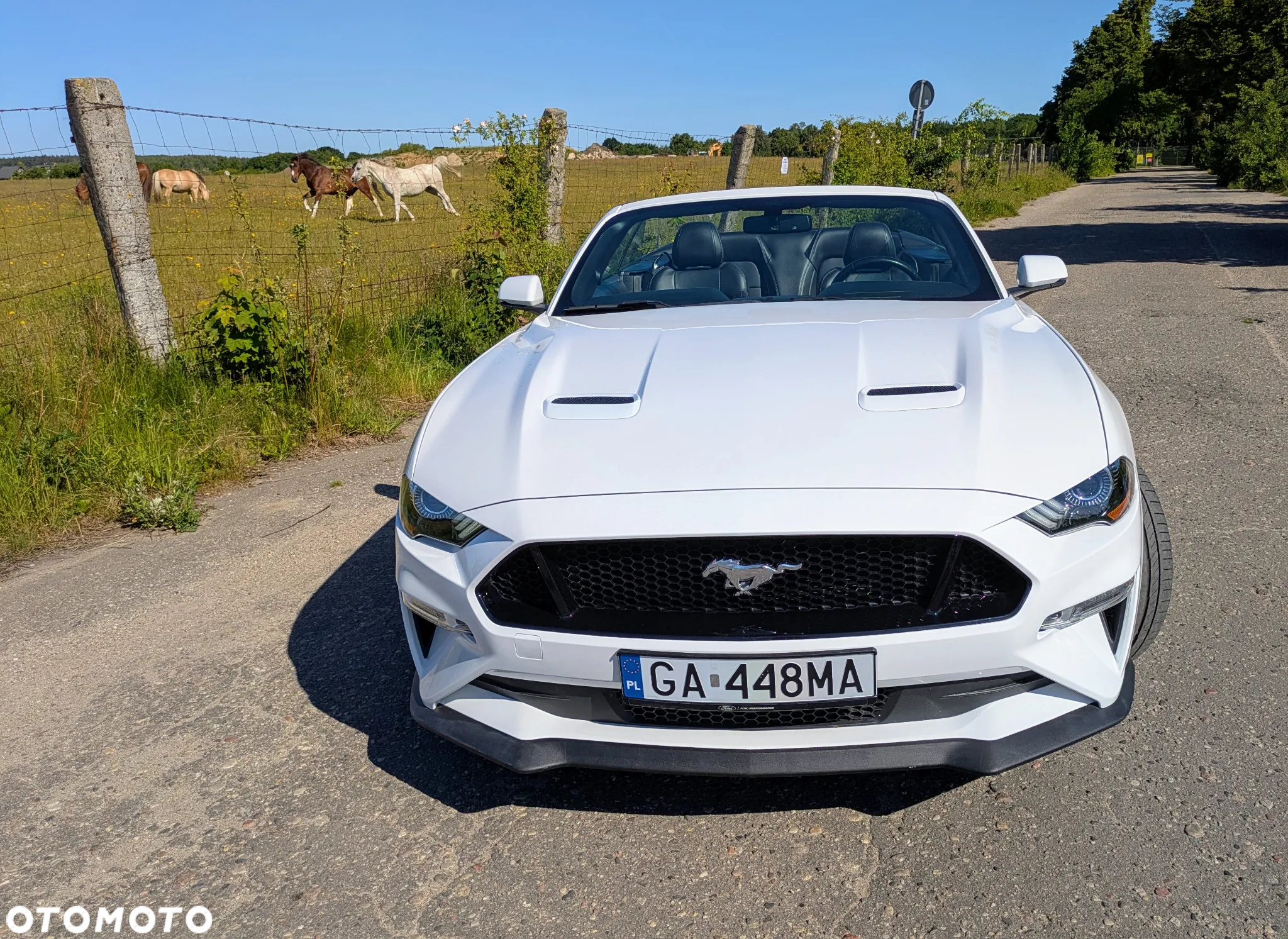 Ford Mustang 2.3 EcoBoost - 13