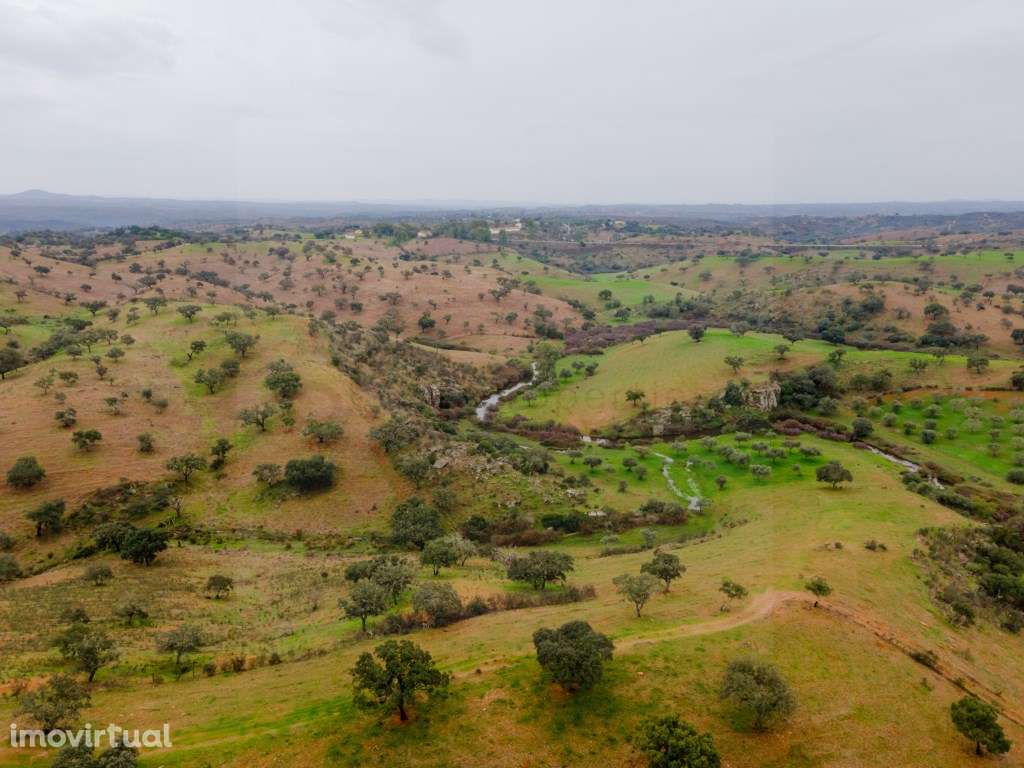 Herdade com setenta e dois hectares em Vila Nova de são Bento - Grande imagem: 4/47