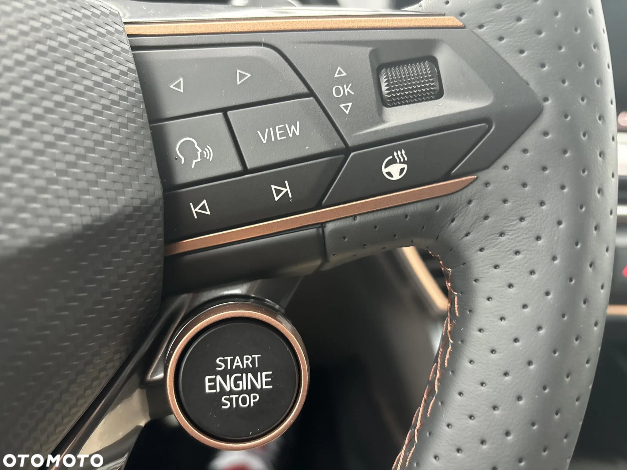 Cupra Formentor 2.0 TDI DSG - 22