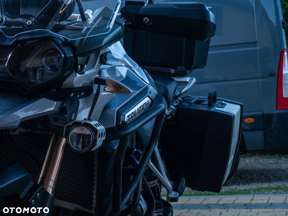 Triumph Tiger - 9
