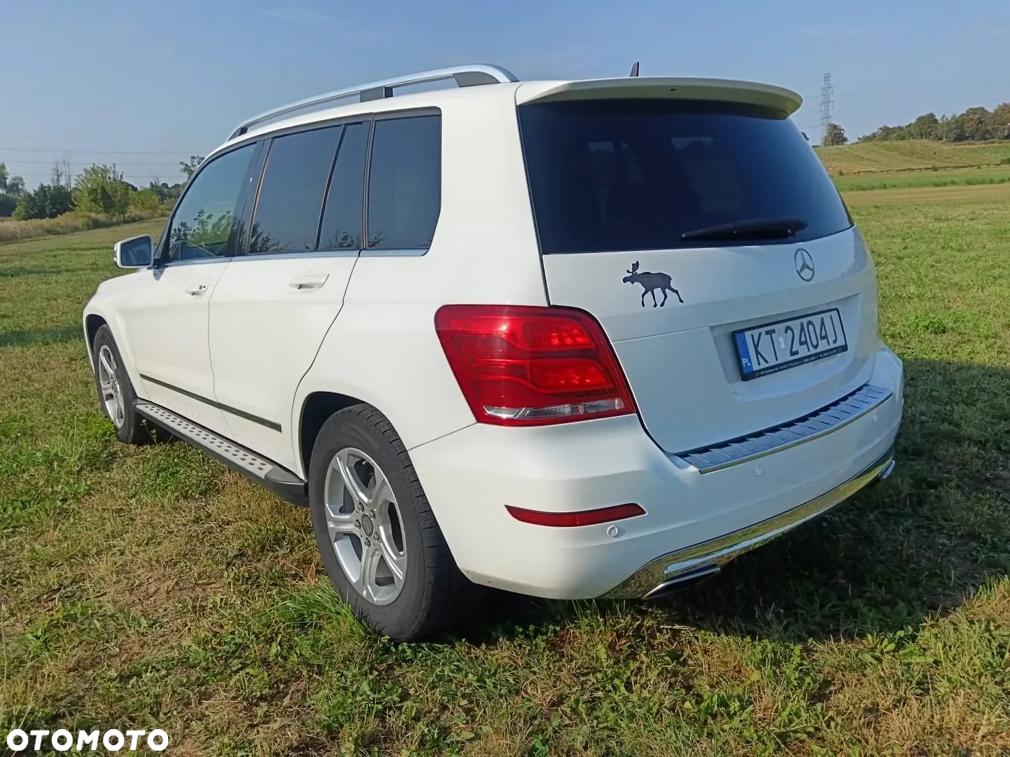Mercedes-Benz GLK 220 CDI (BlueEFFICIENCY) 7G-TRONIC - 12