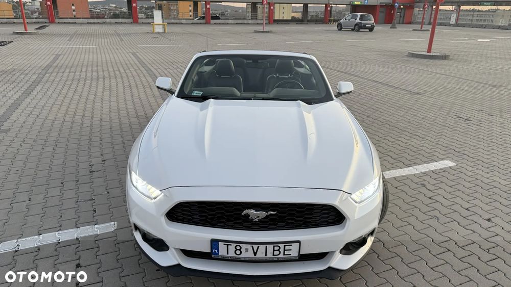 Ford Mustang Cabrio 2.3 Eco Boost - 17
