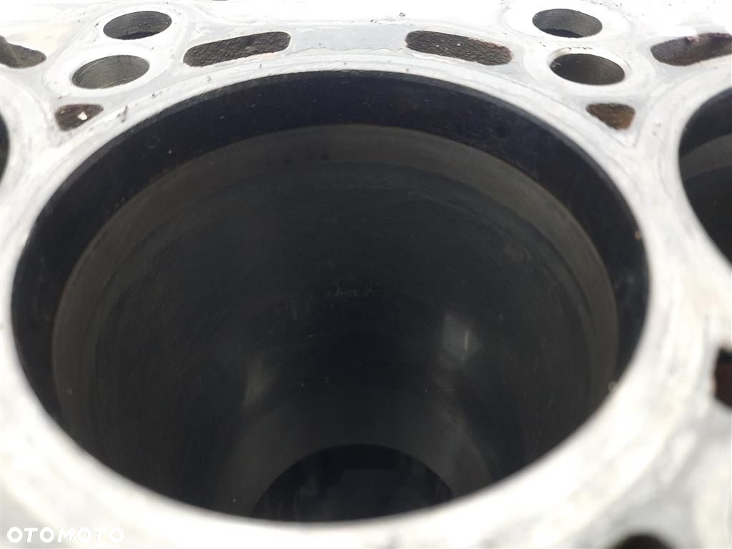 Blok silnika Skoda Fabia II 1.6TDI KOD:CAYA GOLF V AUDI A3 2007-2014 - 7