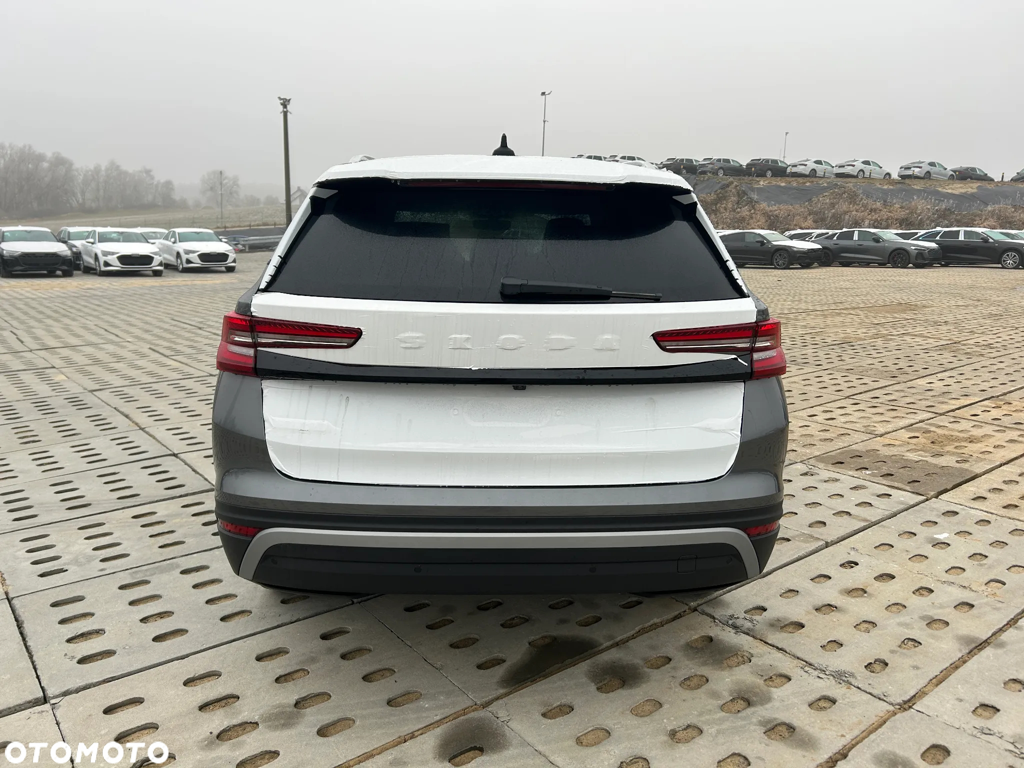 Skoda Kodiaq 2.0 TDI 4x4 Edition 130 DSG - 8