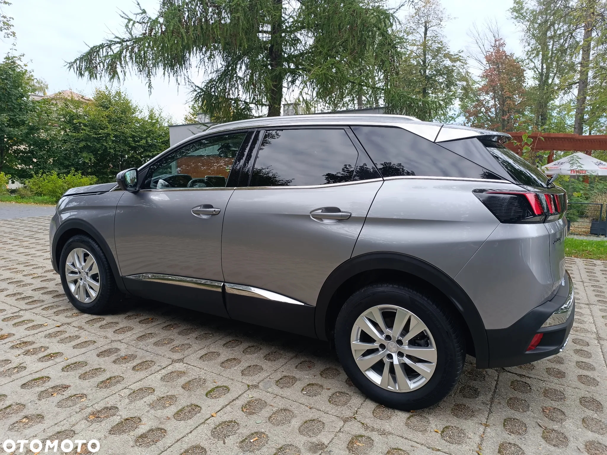 Peugeot 3008 - 13