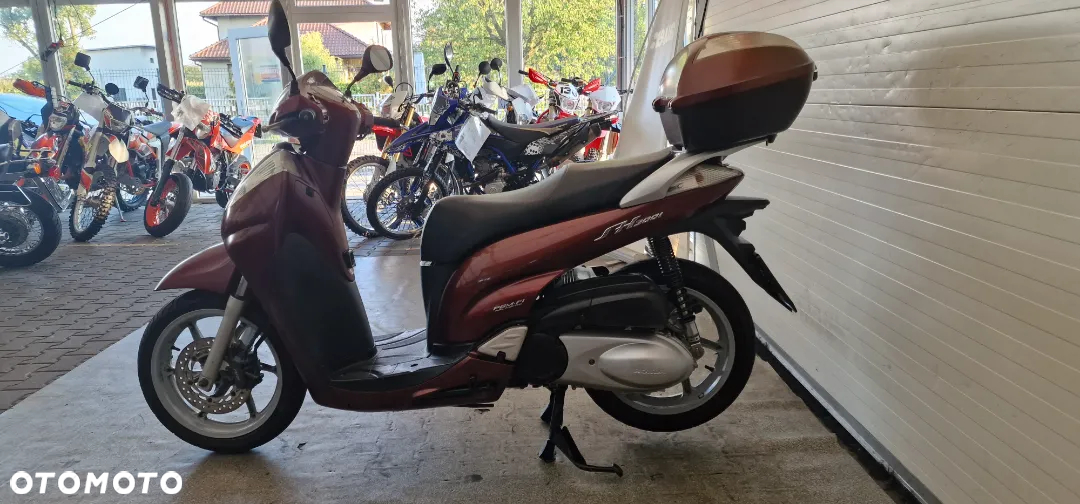 Honda SH - 11