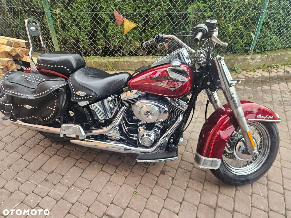 Harley-Davidson Softail Standard - 19