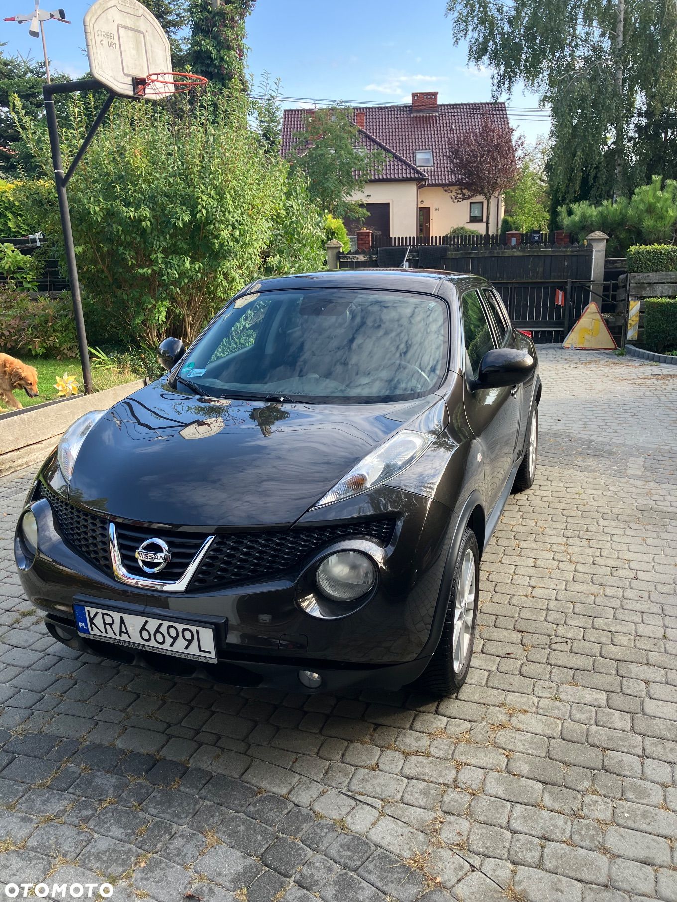 Nissan Juke 1.6 Acenta Xtronic - 1