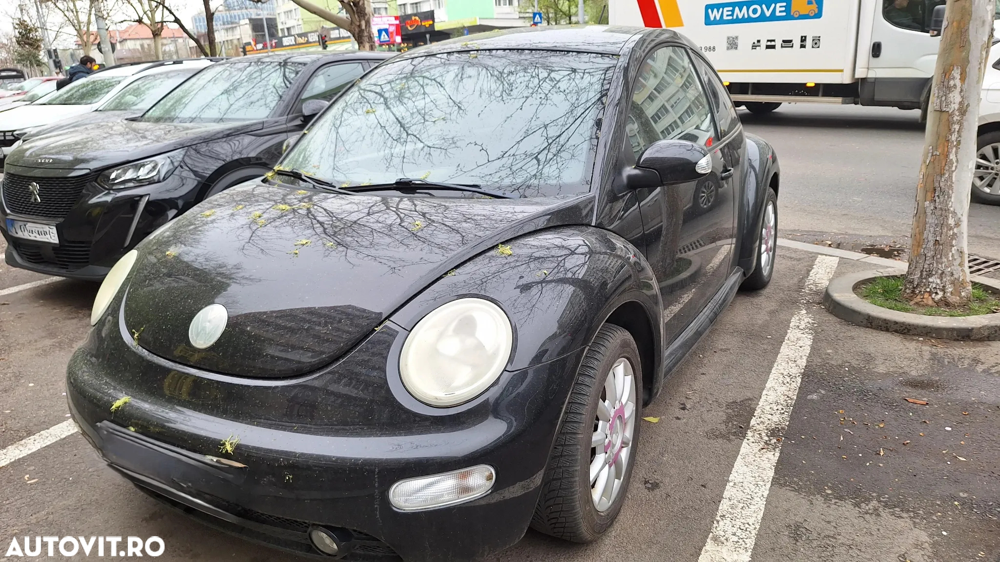 Volkswagen Beetle - 2