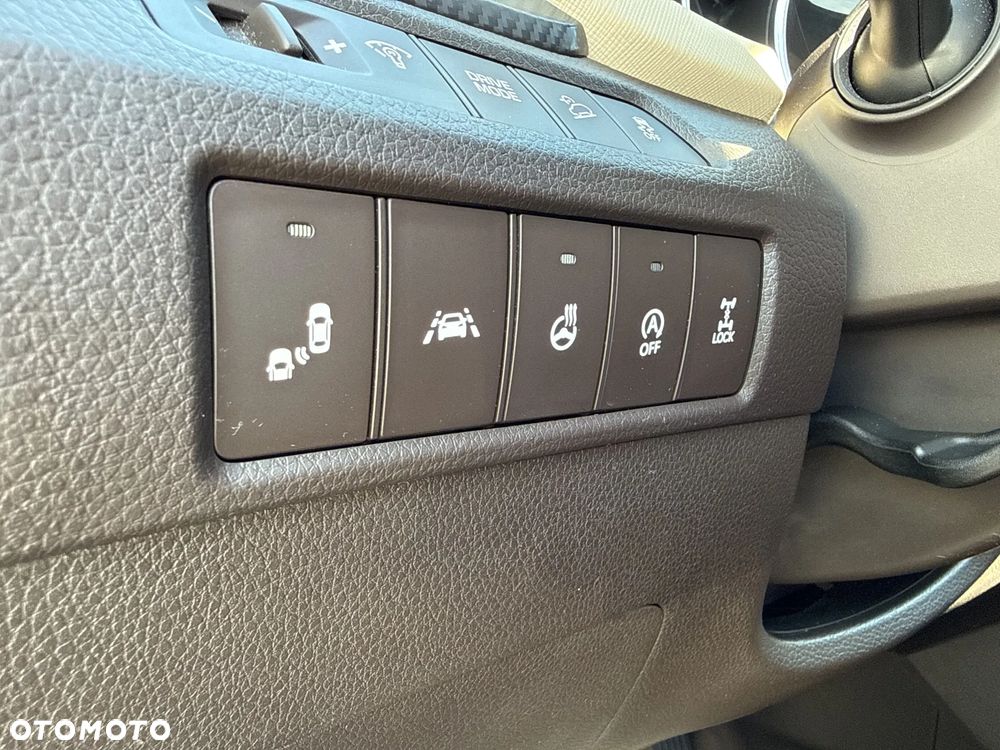 Hyundai Santa Fe 2.0 CRDi Platinum 4WD - 19