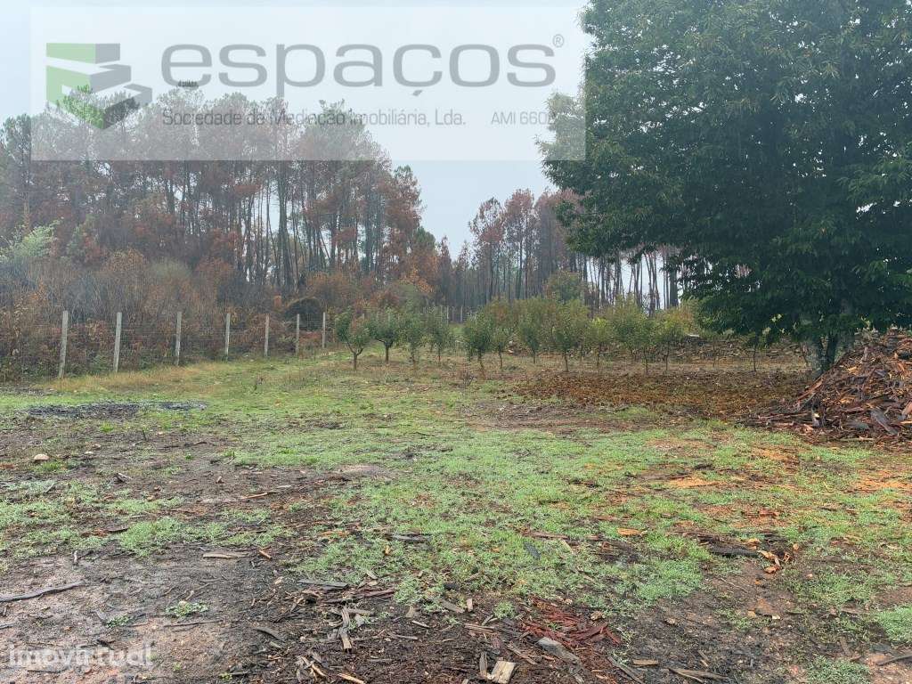 Quinta no Paul - Grande imagem: 3/25