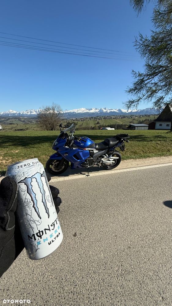 Suzuki GSX - 17