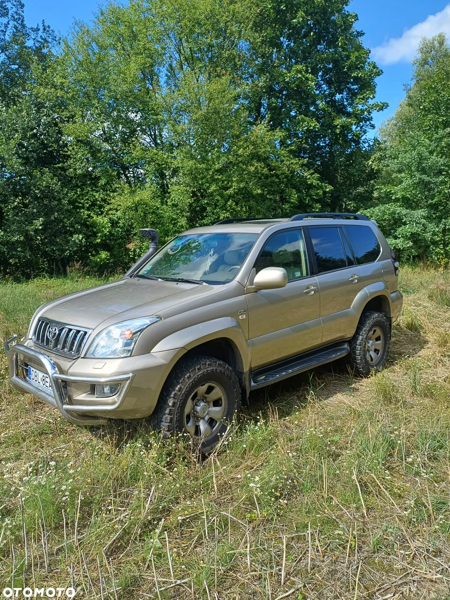 Toyota Land Cruiser 3.0 D Sol Navi - 2