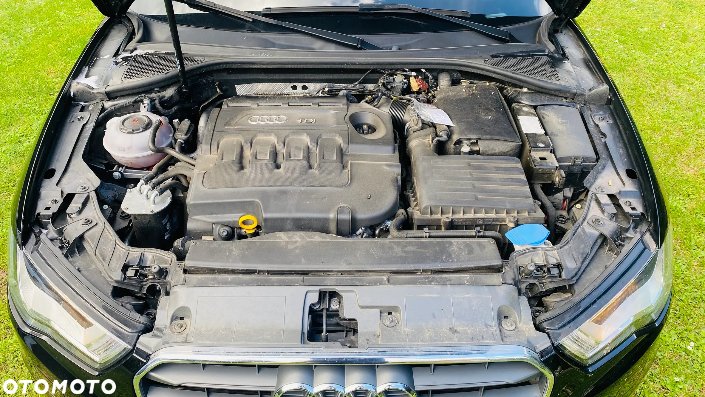 Audi A3 Sportback 1.6 TDI - 23