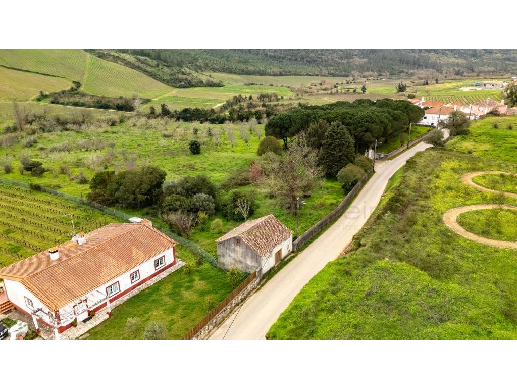 Quintinha com 3 hectares a 5 minutos de Torres Vedras - Grande imagem: 2/12