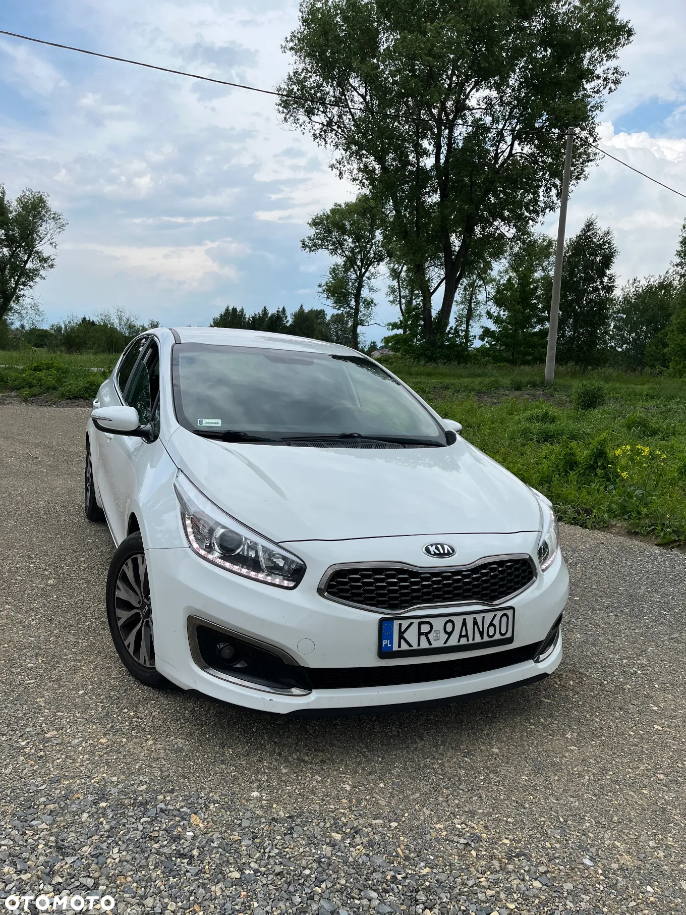 Kia Ceed Cee'd 1.6 GDI L Business Line - 2