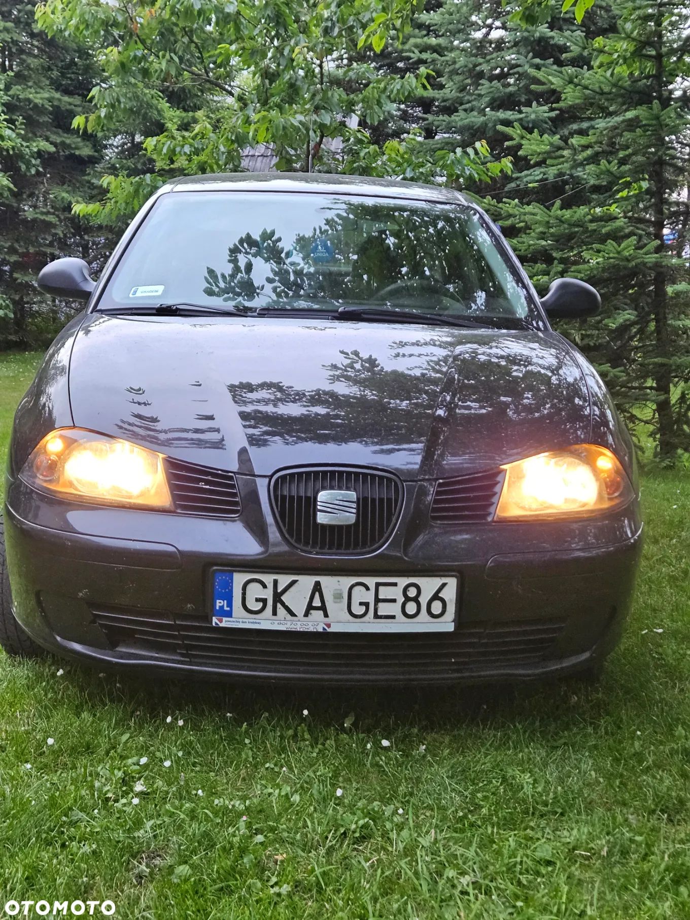 Seat Ibiza 1.9 TDI Stella - 1
