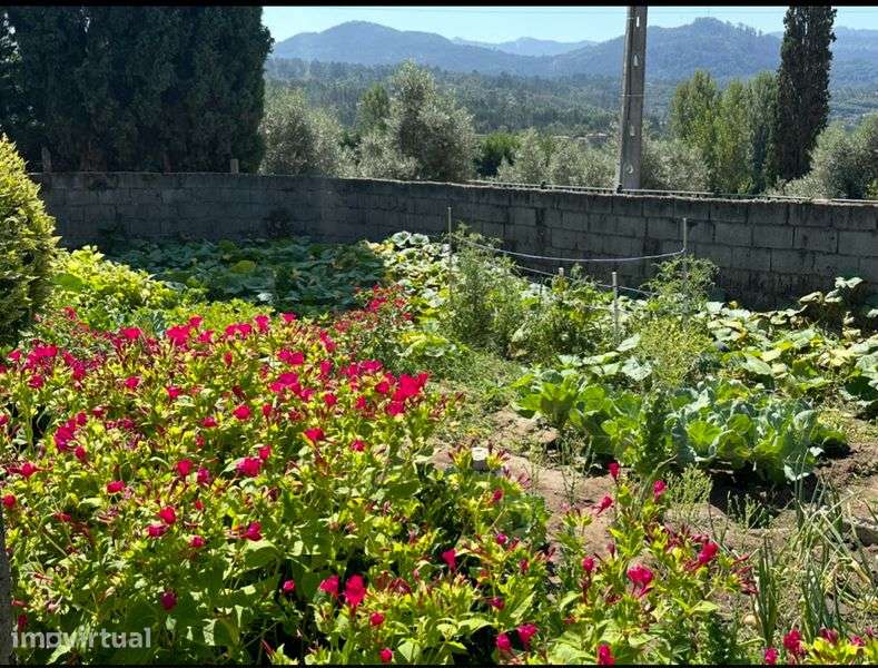 Casa com Quintal - Grande imagem: 5/11