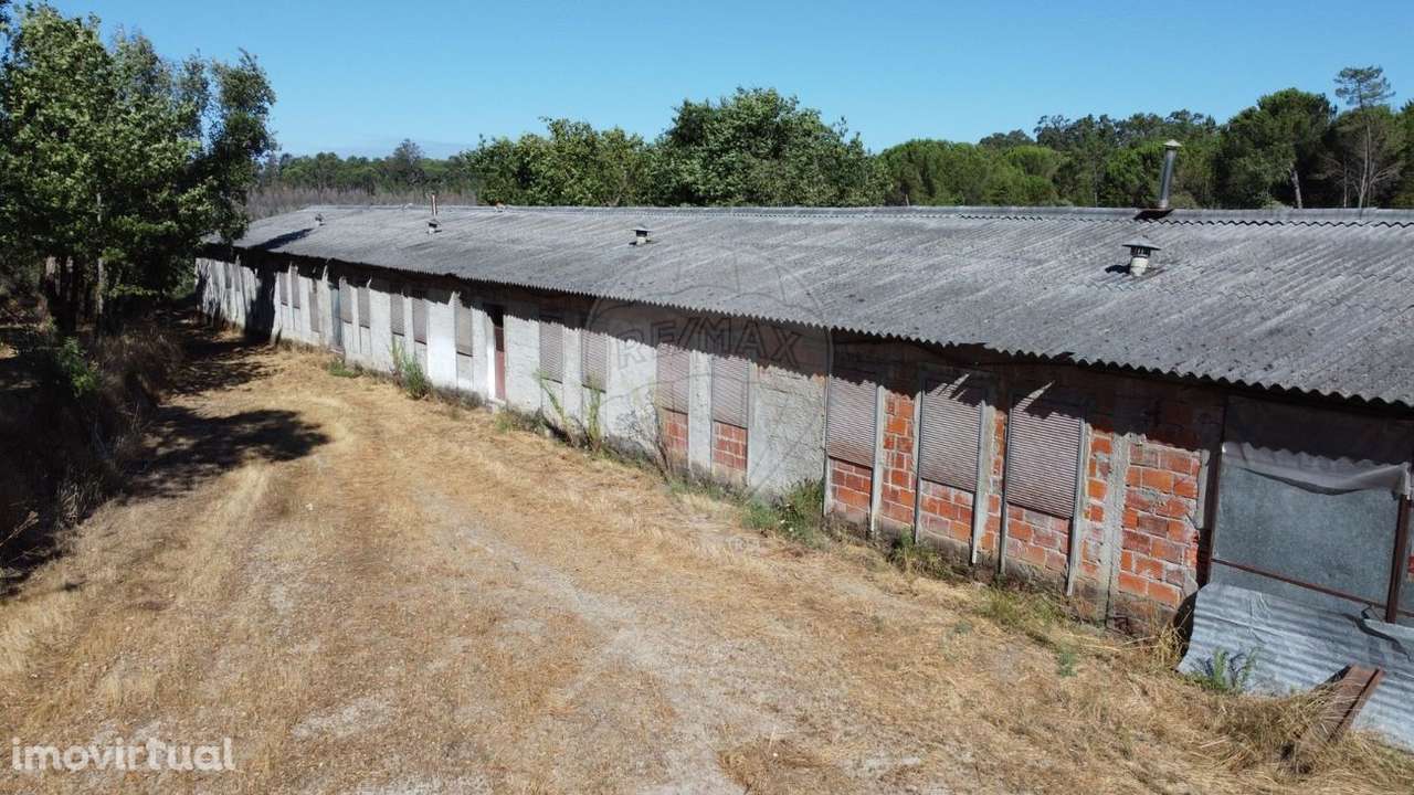 Armazém  para venda - Grande imagem: 3/30