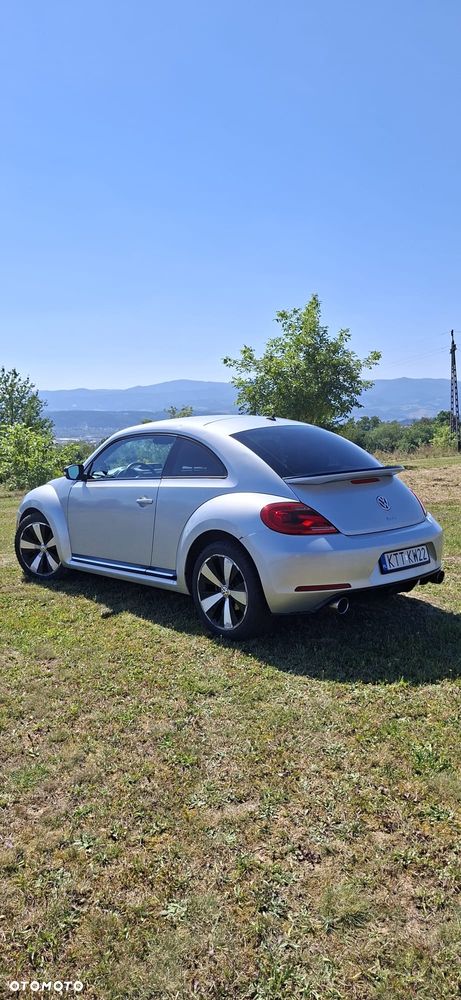 Volkswagen Beetle - 6