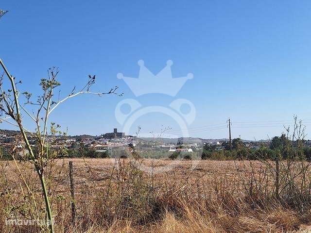 Olival em Portel - Grande imagem: 2/9