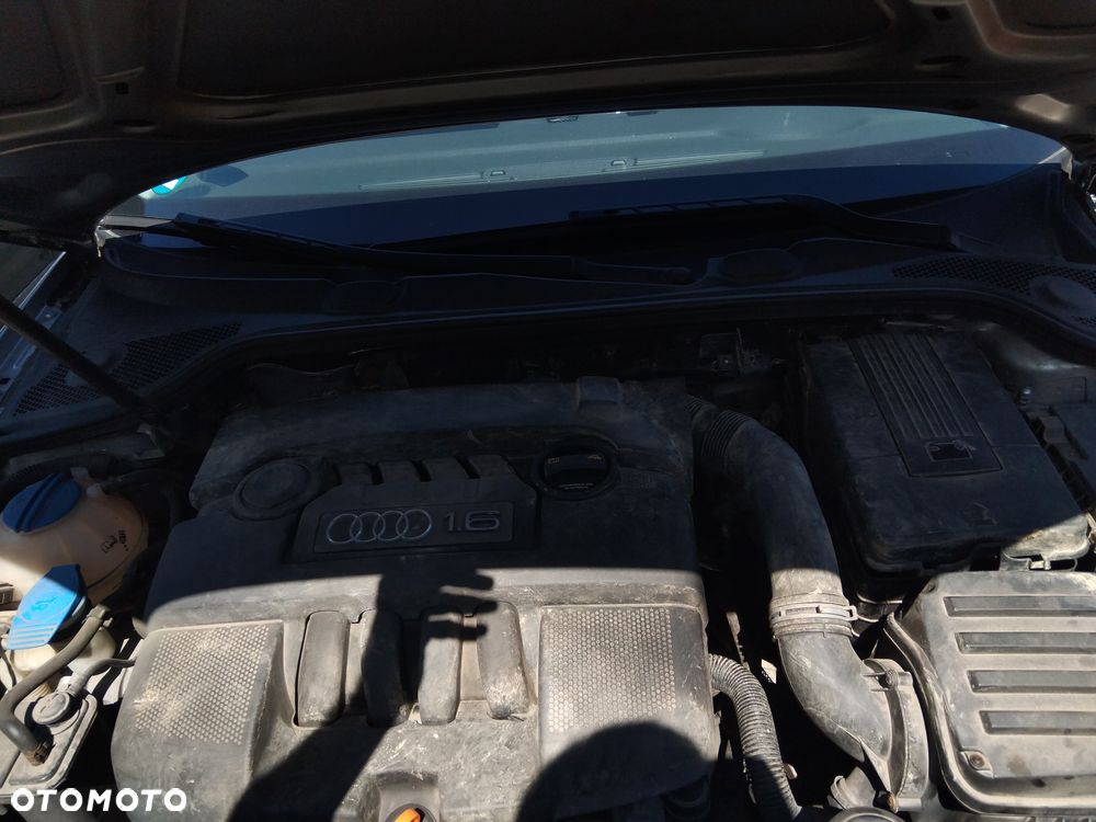 Audi A3 8P Lift 05- z silnikiem 1,6 mpi BSE  I skrzynią JHT lakier kod LY7W - 5