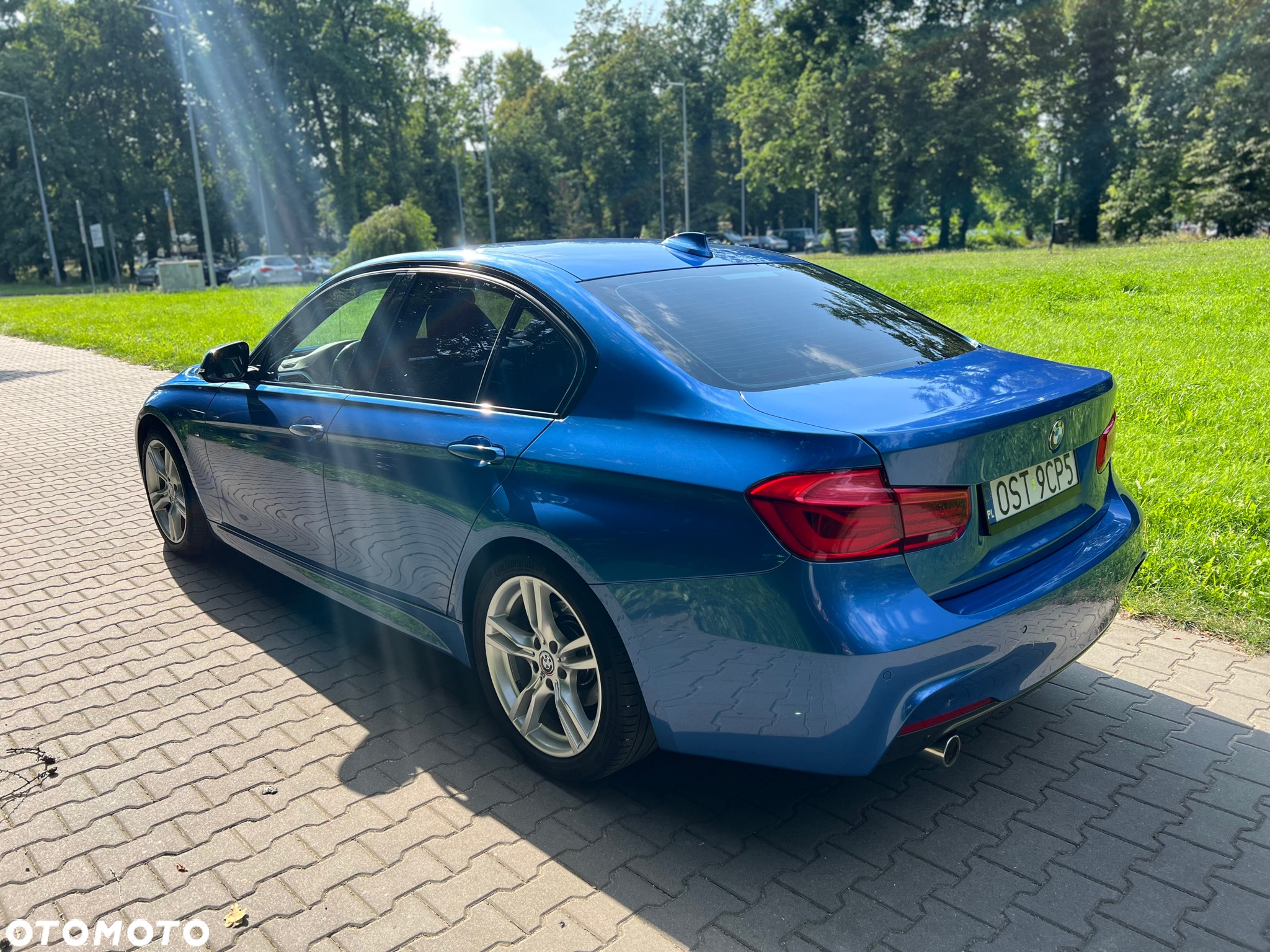 BMW Seria 3 316d M Sport Shadow - 5